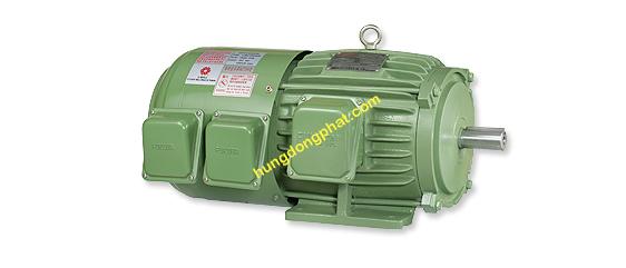 Motor điều khiển biến tần tải nặng loại chân đế FUKUTA