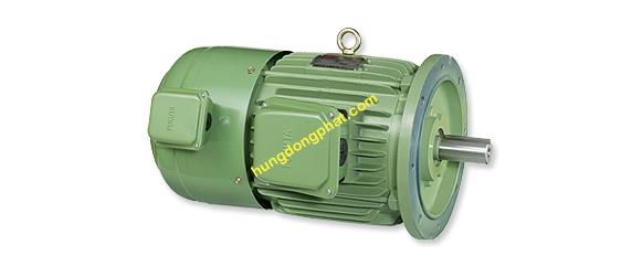 Motor điều khiển biến tần tải nặng loại mặt bích  FUKUTA