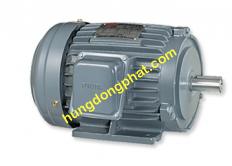 Motor chân đế 3 Phase  FUKUTA