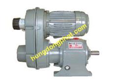 Giảm tốc Liming vô cấp mã RGV