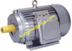 Motor Tatung chân đế