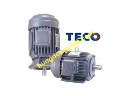 Motor TECO mặt bích 3 Phase