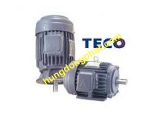 Motor TECO mặt bích 3 Phase