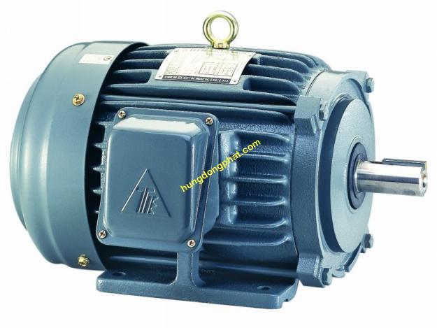 Motor TECO kiểu chân đế