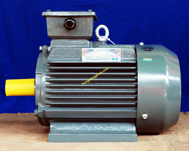 Motor TECO chân đế 3 Phase