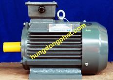 Motor TECO chân đế 3 Phase