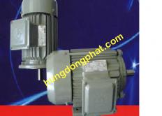 Motor Tatung mặt bích